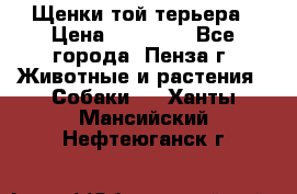 Щенки той терьера › Цена ­ 10 000 - Все города, Пенза г. Животные и растения » Собаки   . Ханты-Мансийский,Нефтеюганск г.